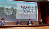 Le Muséum s'engage pour la biodiversité