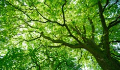Décarbonons l’action publique locale
Environnement