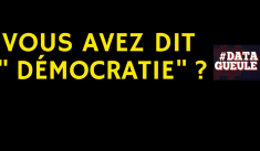 « Vous avez dit démocratie ? »