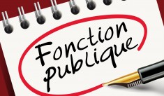 Réforme de la fonction publique : une loi technique ambitieuse ?
fonction publique