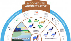 Quels avenirs pour l’action publique en matière de biodiversité ?