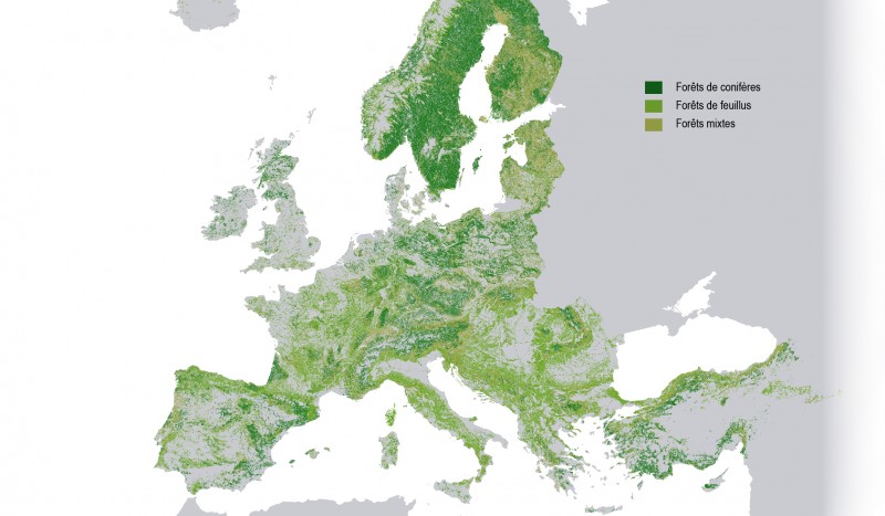 Forêt en Europe