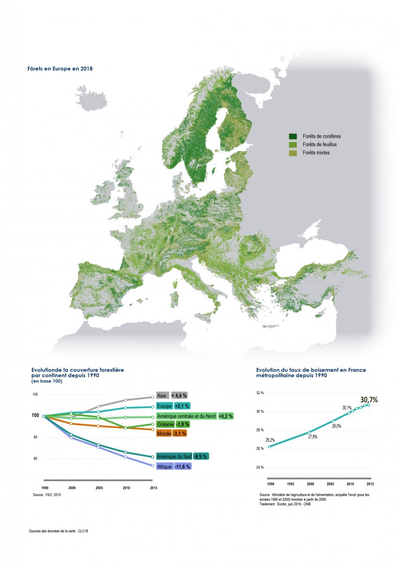 Forêt en Europe