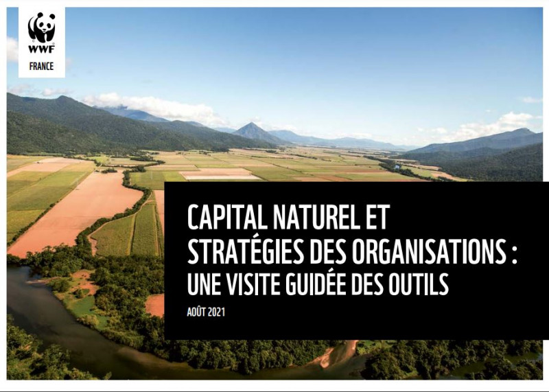 CAPITAL NATUREL ET STRATÉGIES DES ORGANISATIONS: UNE VISITE GUIDÉE DES OUTILS