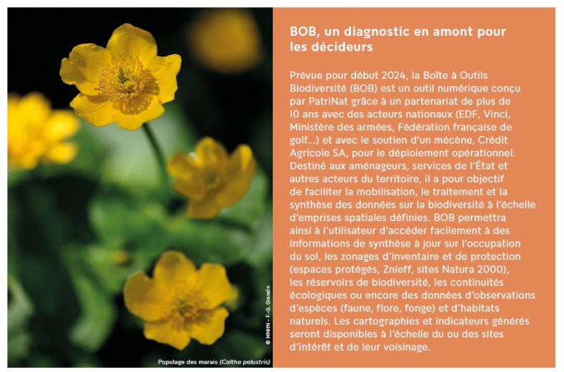 BOB, un diagnostic en amont pour les décideurs Muséum national d'histoire naturelle