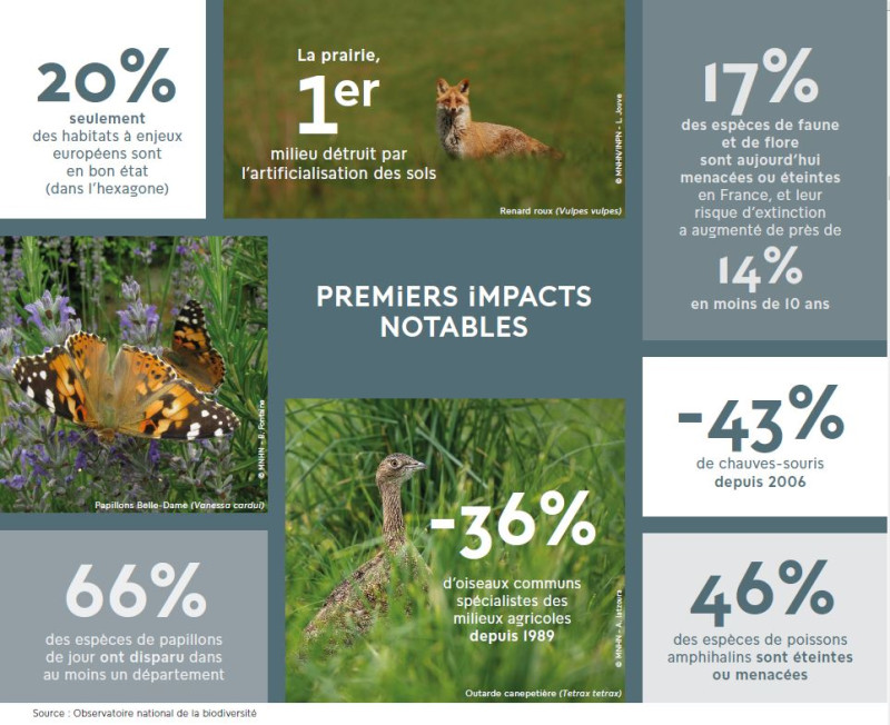 Disparition des espèces en France - Observatoire nationale de la biodiversité